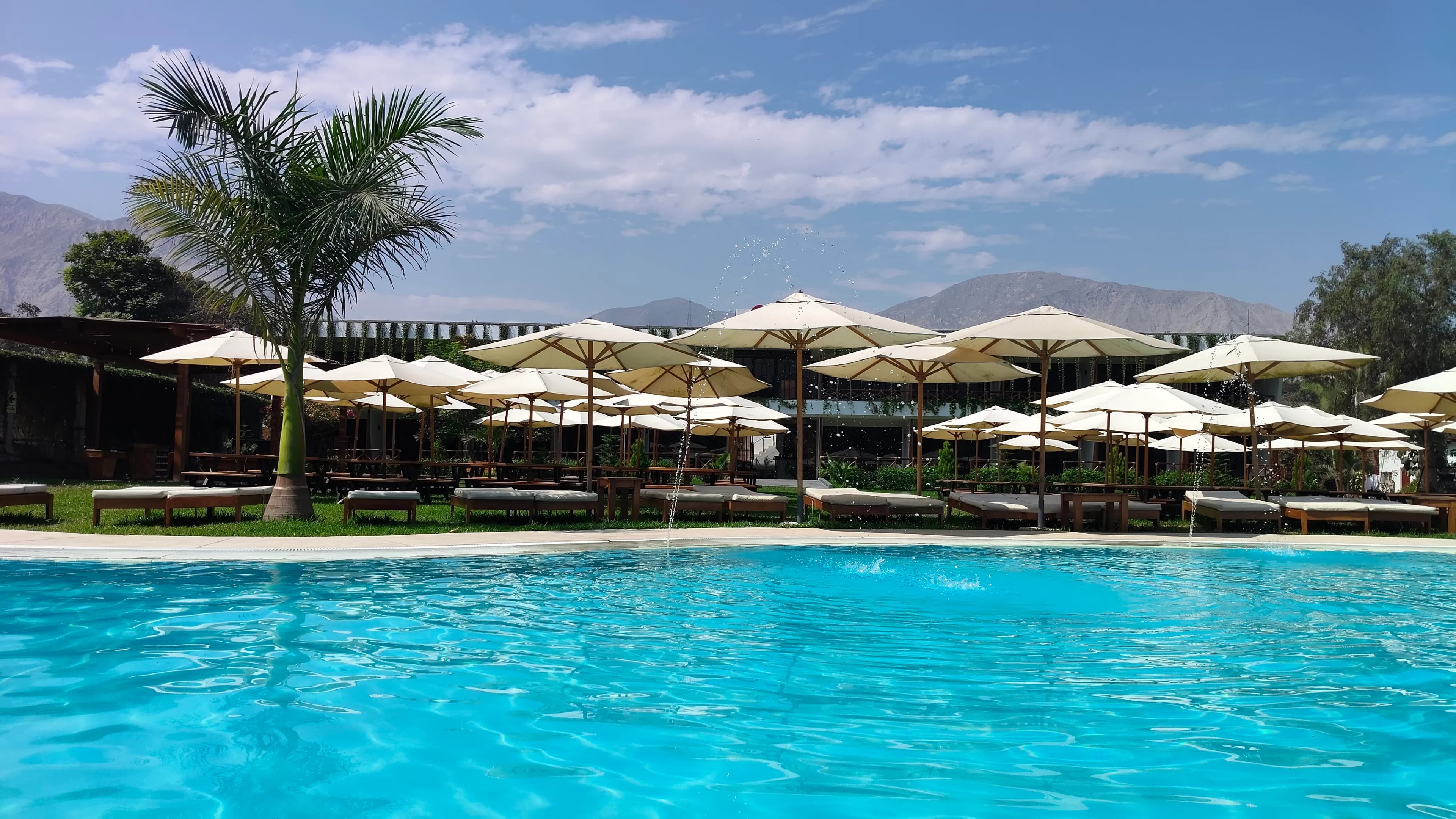 Piscina y jardines
