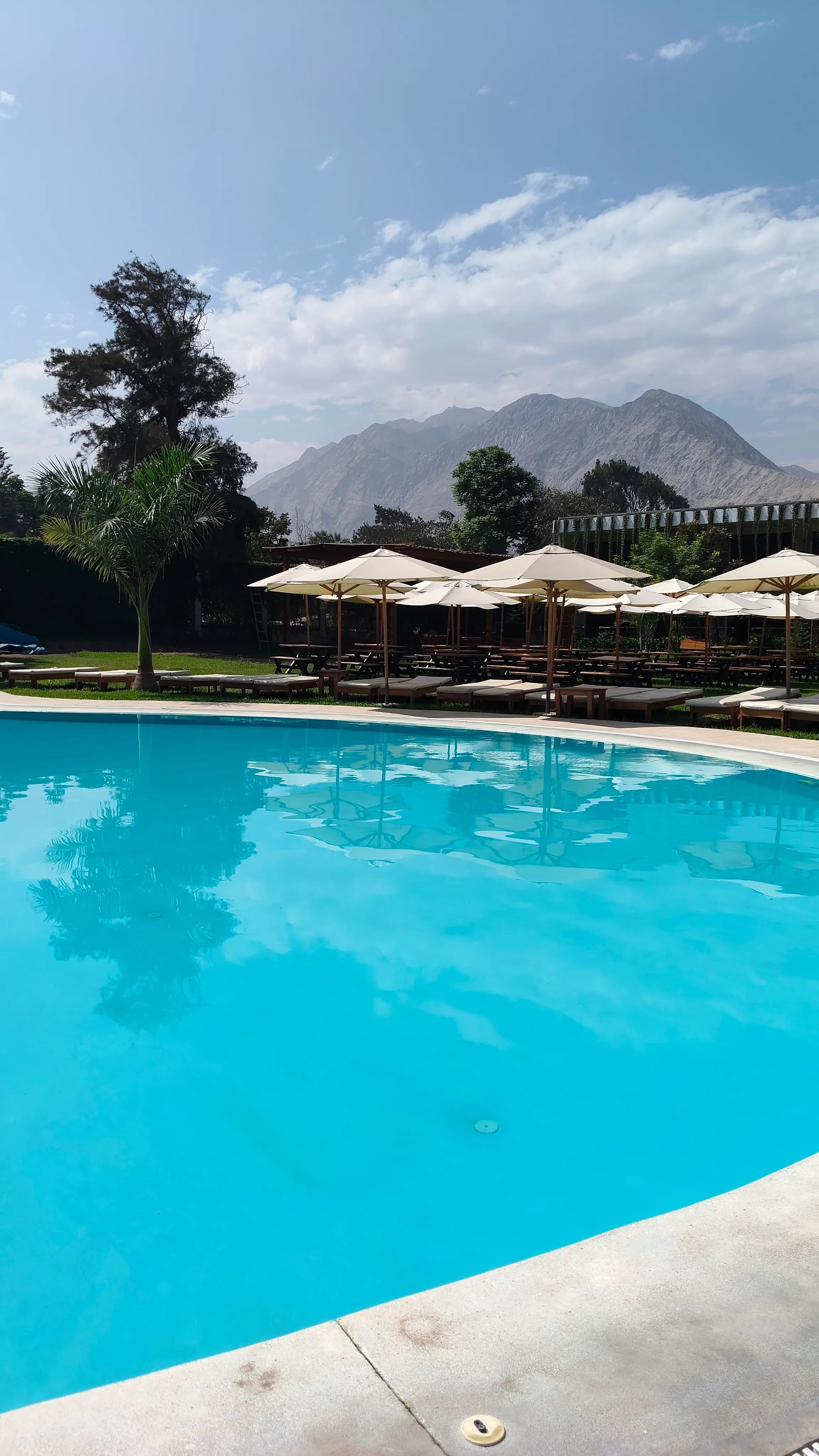 Piscina y Sombrillas